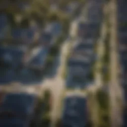 Aerial view of a residential street