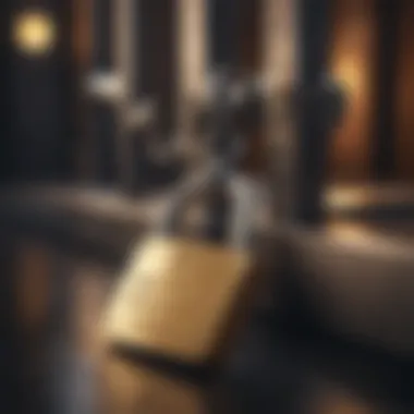 Securing Your Financial Identity A secure lock symbolizing protection of financial identity