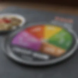 Visual representation of credit score components