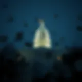 Visual representation of government financial obligations