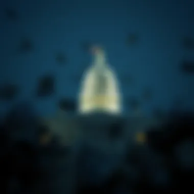 Visual representation of government financial obligations