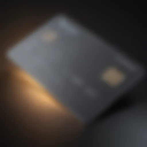 Merrick Credit Card showcasing its sleek design and features