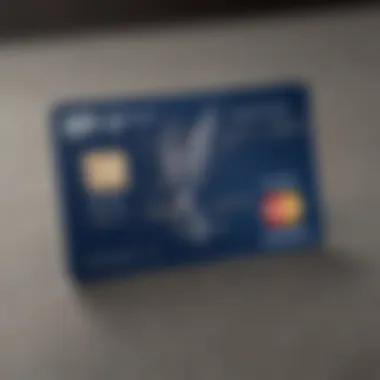 Understanding Fees of the United Airlines Explorer Visa Card Infographic of fees associated with the Explorer Visa Card
